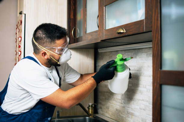 Best Best Pest Control Companies  in Fairport, NY