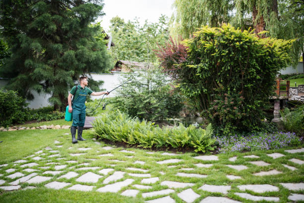 Best Wasp Removal Services  in Fairport, NY
