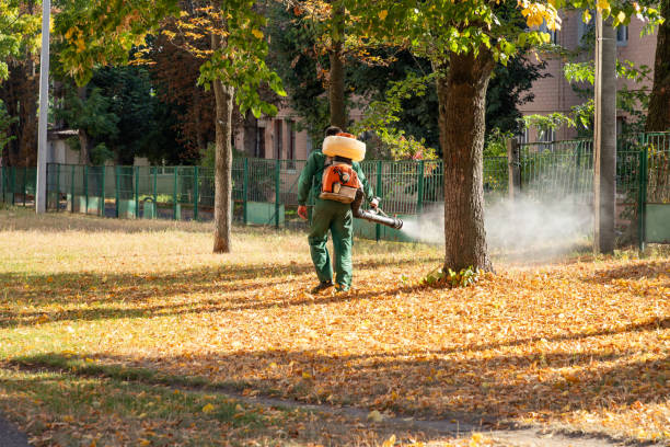 Best Exterminator Services  in Fairport, NY