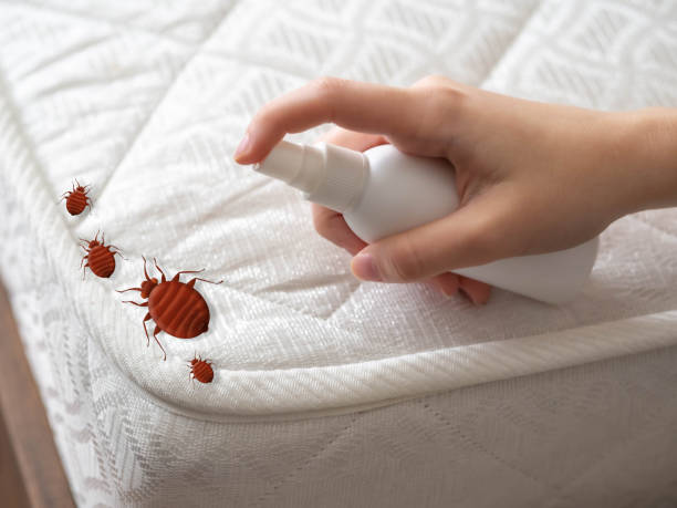 Best Pest Control Near Me  in Fairport, NY
