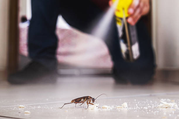 Best Commercial Pest Control Services  in Fairport, NY