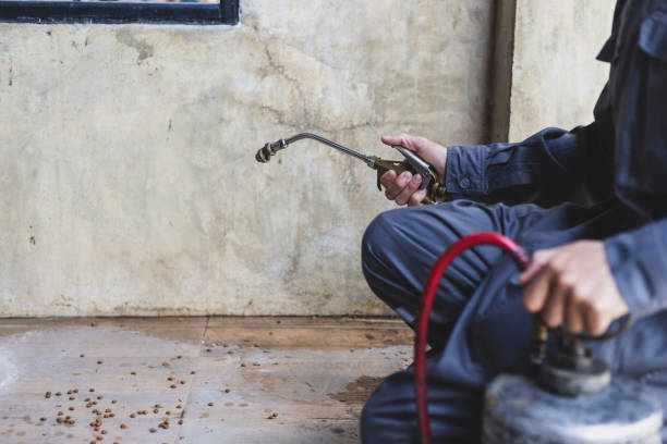 Best Termite Control Services  in Fairport, NY
