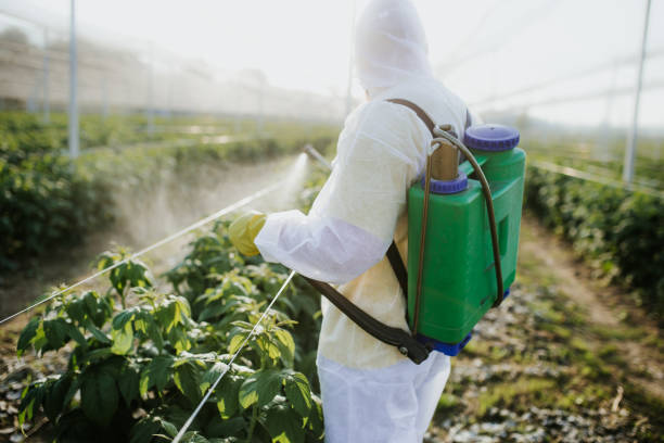 Professional Pest Control in Fairport, NY